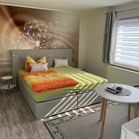 Casa de hóspedes Hotel-pension Hafemann 3*