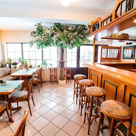 Hotel-pension Hafemann Guest house