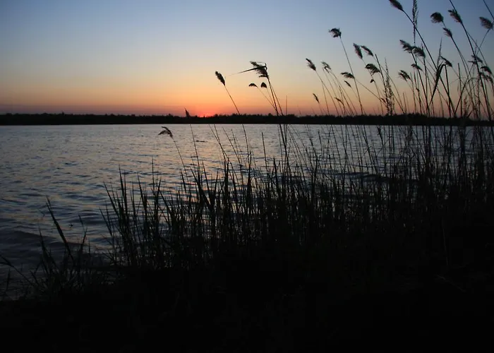 Guest house Hotel-pension Hafemann 3*